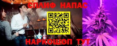СК Моздок