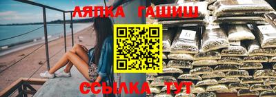 СК Моздок