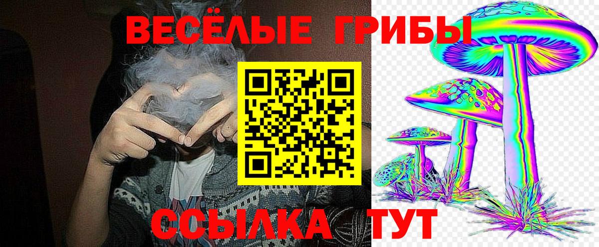 Галлюциногенные грибы GOLDEN TEACHER Черняховск
