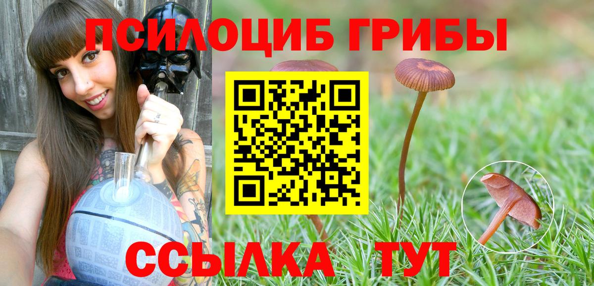 Черняховск  Псилоцибиновые грибы прущие грибы  Вход с VPN  Галлюциногенные грибы Magic Shrooms 
